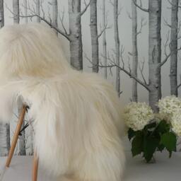 "Sheepskin Icelandic White Throw Genuine Leather Sheep Skin 48""x 30" - thumbnail 2