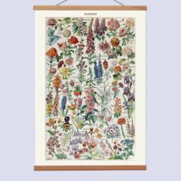 Vintage Botanical Canvas Hanging & Wooden Hanger Art Frame, French Flowers Wall For Your Lounge, Educational Chart - thumbnail 2