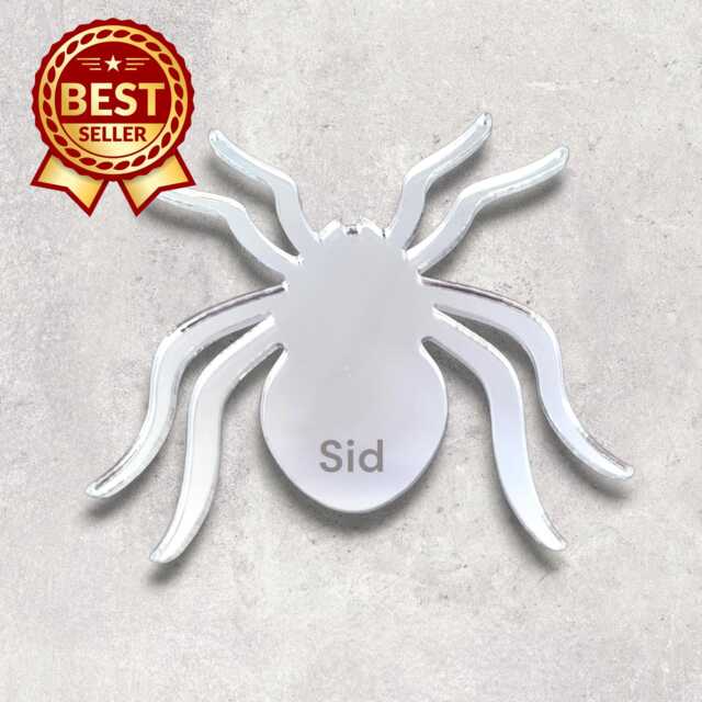 Personalized Spider Acrylic Mirror Wall Art Halloween Decor - image 1