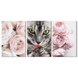 Canvas Set Of 3 Wall Art - A Cat Among Pink Flowers Roses & Peonies, Print, Animals Decor - thumbnail 2