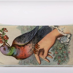 Pigeon Bird - Customizeable Personlized -Cushion Cover Case Or Stuffed With Insert - thumbnail 2