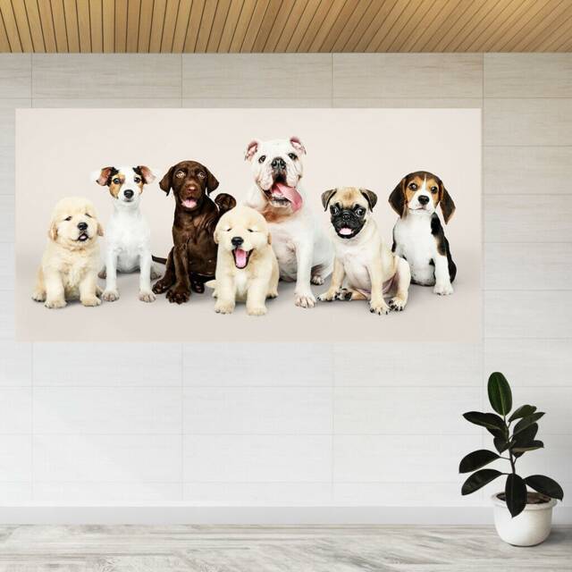 Portrait Of Adorable Puppies 3D View Wall Sticker Poster Decal A976 - image 1