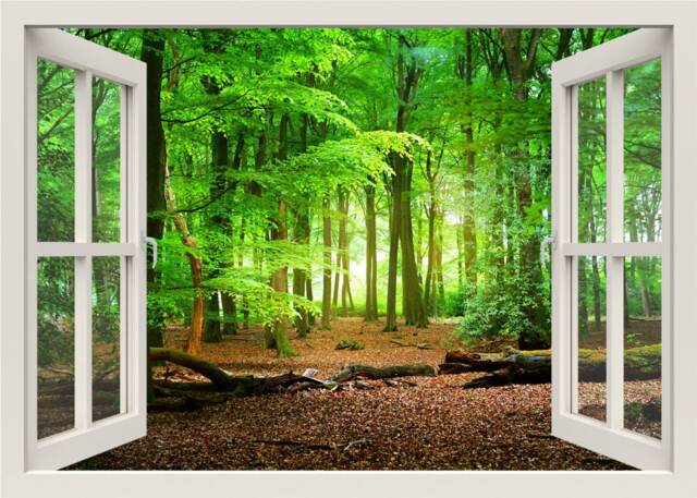 Forest Wall Decal, 3D Window Frame, Nature View Mural, Bedroom Living Room Home Decor