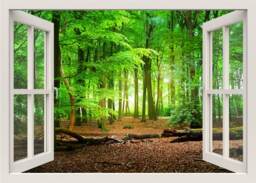 Forest Wall Decal, 3D Window Frame, Nature View Mural, Bedroom Living Room Home Decor