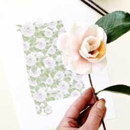 Alabama State Flower Map Watercolor Camellia - Art Print Wall Graduation Wedding Anniversary Realtor Moving Gift South Southern Us - thumbnail 2
