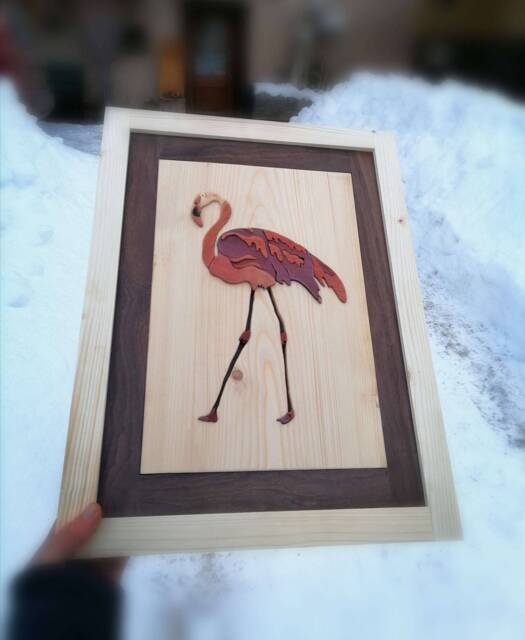 Flamingo - image 1