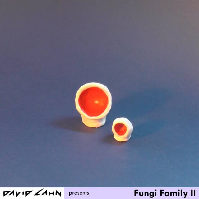 Fungi Family Ii - image 1