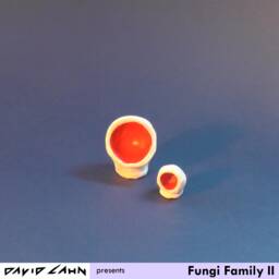 Fungi Family Ii