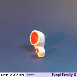Fungi Family Ii - thumbnail 2