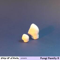 Fungi Family Ii - thumbnail 3