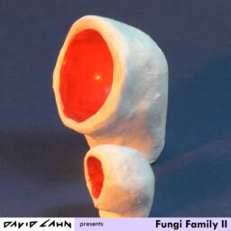 Fungi Family Ii - thumbnail 4