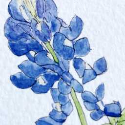 Texas State Flower Map Watercolor Bluebonnet - Art Print Wall Mothers Day Gift Graduation Wedding Anniversary Realtor Moving - thumbnail 3