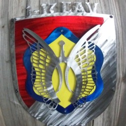 Us Army Metal Wall Plaques, Socure Signal Detachment, 1-17Th Cav, D-Troop We Can Also Do Custom Flashes For Most Groups - thumbnail 2