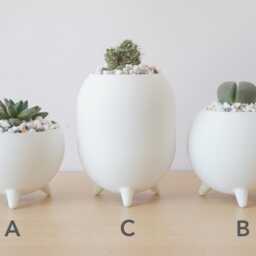 Sphere Succulent Planters Pots - Modern & Minimal - thumbnail 4