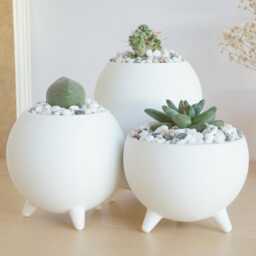 Sphere Succulent Planters Pots - Modern & Minimal - thumbnail 2