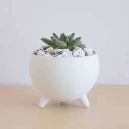 Sphere Succulent Planters Pots - Modern & Minimal - thumbnail 3