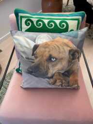Custom Pet Photo Pillow Luxury Memorial Keepsake Cushion - thumbnail 1