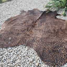 Cowhide Rug Leopard Print. Unique Xl A434 Peau De L??opard. Cow Skin - thumbnail 3