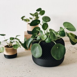 Black Indoor Planter Wood - Apple Minimalist & Scandinavian Decor Planter Gift - thumbnail 4