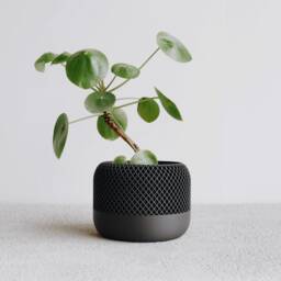 Black Indoor Planter Wood - Apple Minimalist & Scandinavian Decor Planter Gift - thumbnail 2