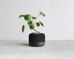 Black Indoor Planter Wood - Apple Minimalist & Scandinavian Decor Planter Gift