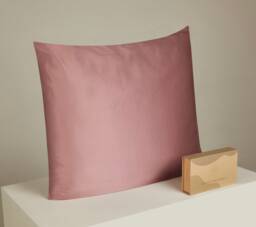 80 X cm 22 Momme Silk Pillowcase Queen Size/Pillowcase/Pure Mulberry/Christmas Gift/Self Care/Anti-Aging