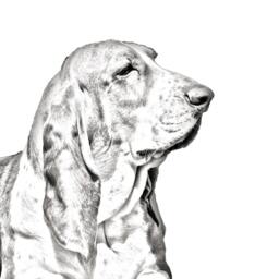 Basset Hound - Wooden Stand For Candles/Pens With The Image Of A Dog New Collection - thumbnail 2