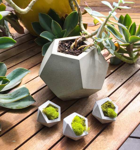 Large Concrete Planter, Geometric Dodecahedron, Succulent Modern Cement Planter - image 1