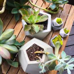 Large Concrete Planter, Geometric Dodecahedron, Succulent Modern Cement Planter - thumbnail 4