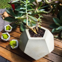 Large Concrete Planter, Geometric Dodecahedron, Succulent Modern Cement Planter - thumbnail 2