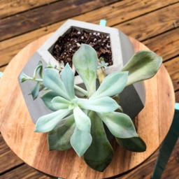 Large Concrete Planter, Geometric Dodecahedron, Succulent Modern Cement Planter - thumbnail 3