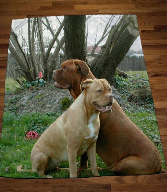 Photo Blanket_Print Your Favorite Photo On What's Sure To Become Blanket