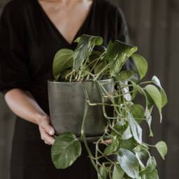 Large Plant Pot With Saucer - Handmade Pottery Collection Moss - thumbnail 1