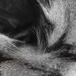 Black Gray Faux Fox Fur Throw 240 X 65 cm - thumbnail 3