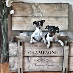 "Chest, Wooden Box, Freight Crate, Bench, Coffee Table ""Champagne" - thumbnail 2