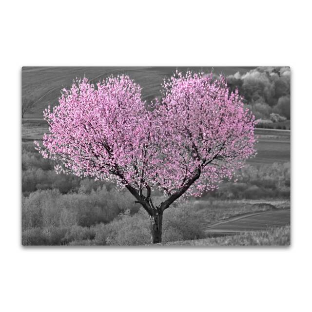 Black & White Pink Heart Blossom Canvas Wall Art Picture Print. Cherry Tree Love Heart. Giclee - image 1