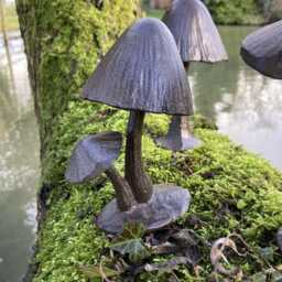 Set Of 3 Cast Iron Mini Toadstools -Fairy/Garden Ornaments - thumbnail 3