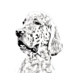 English Setter - Wooden Stand For Candles/Pens With The Image Of A Dog New Collection - thumbnail 2