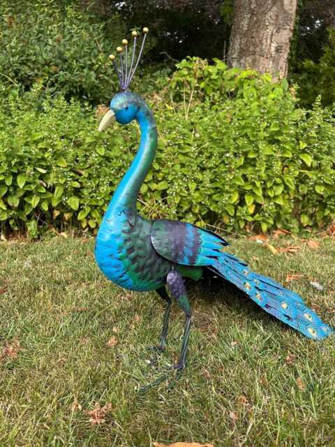 Tail Down Decorative Peacock Bird Animal Metal Garden Giftware Ornament - image 1
