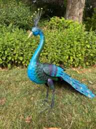 Tail Down Decorative Peacock Bird Animal Metal Garden Giftware Ornament - thumbnail 1
