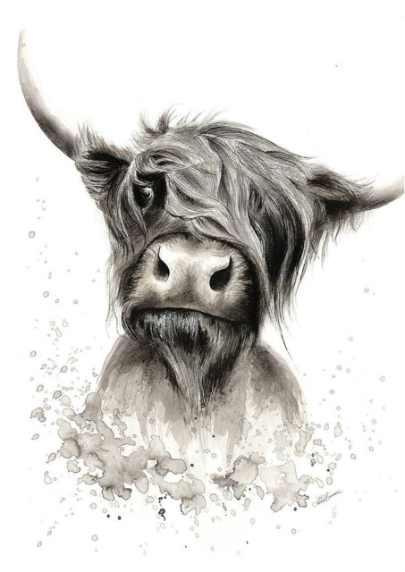 Highland Cow Print, Cow Art, Painting, Scottish Cow, Picture, Hairy - image 1