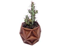 Enceladus 3D Printed Planter - Succulent Mini Modern Geometric Design Made To Order Choose Your Color & Size New Colors - thumbnail 1
