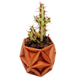 Enceladus 3D Printed Planter - Succulent Mini Modern Geometric Design Made To Order Choose Color & Size New Colors - thumbnail 2