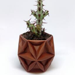 Enceladus 3D Printed Planter - Succulent Mini Modern Geometric Design Made To Order Choose Your Color & Size New Colors - thumbnail 2