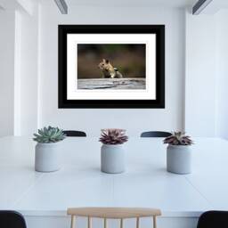 Instant Download Chipmunk Wall Art, Animal Nature Photography, Wildlife Photos, Cute Photo - thumbnail 4