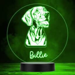 Vizsla Dog Pet Silhouette Colour Changing Personalised Gift Led Lamp Night Light - Bedroom