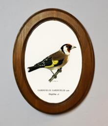 Light Oak Oval Wooden Framed Picture, Goldfinch, Von Wright Brothers, Art Print, Bird Illustration, Wall Hanging, Antique Vintage Style - thumbnail 1