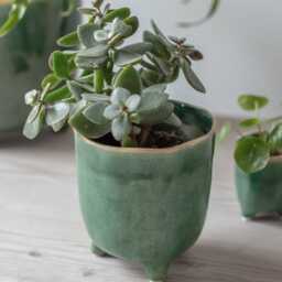 Forest Green Positano Plant Pot - Ceramic Crackle Glaze Planter With Feet Home Decor Stoneware Cover Various Sizes - thumbnail 2