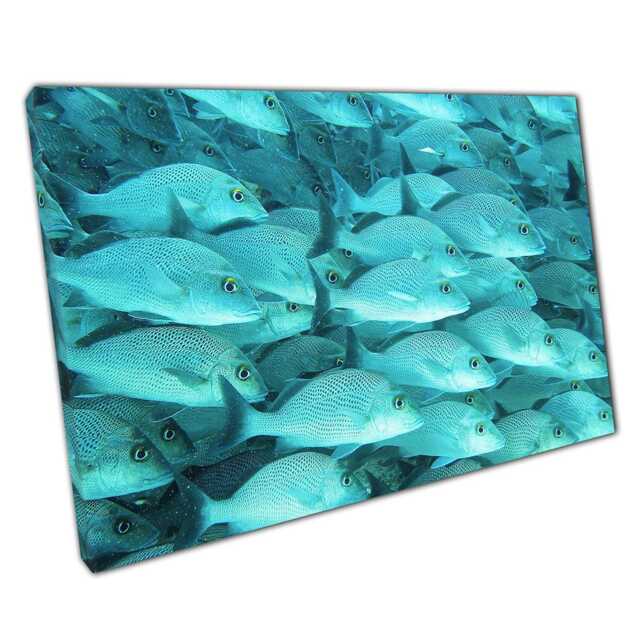 Blue Turquoise Coral Reef Fish Underwater Photography Canvas Wall Art For Home Office Decor - image 1