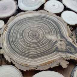 Handcrafted Wooden Wall Art, Wood Slice Art Above Fireplace, Organic Artwork For Mediterranean Home - thumbnail 4